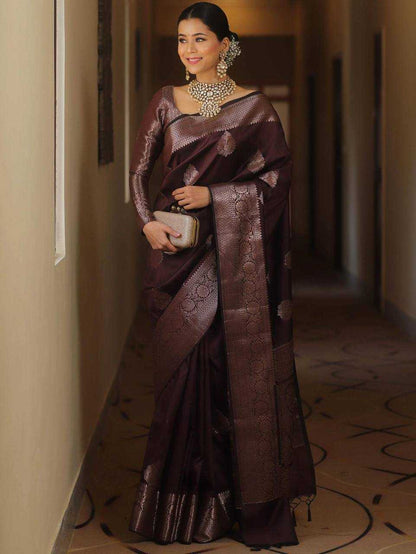 Wine Banarasi Silk Saree